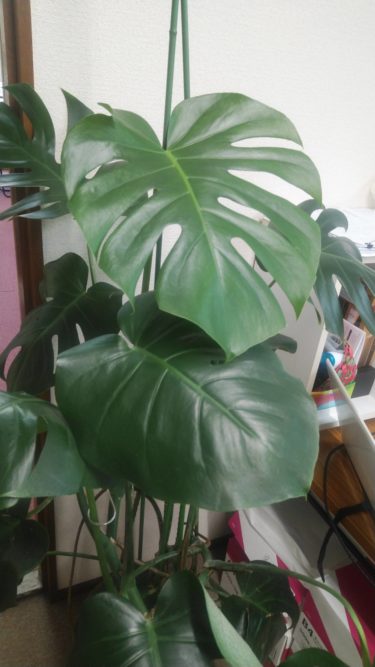 更に感染予防を徹底します！