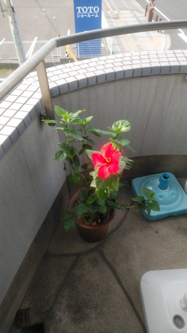 国・理・社は暗記！