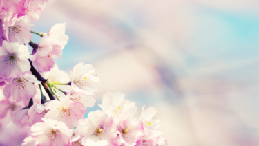 合格報告、ありがとうございます！