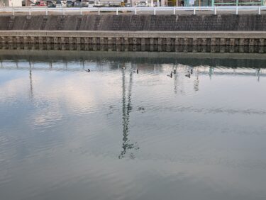 ウオーキング