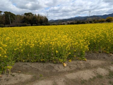 吉報待ってます！